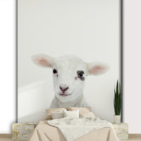 Peaceful baby lamb wallpaper for walls
