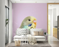 Living room decorated with budgie wall mural

