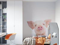 Cute baby piglet on wall
