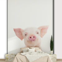 Baby piglet wall mural
