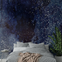 Deep blue cosmic design on wall mural.

