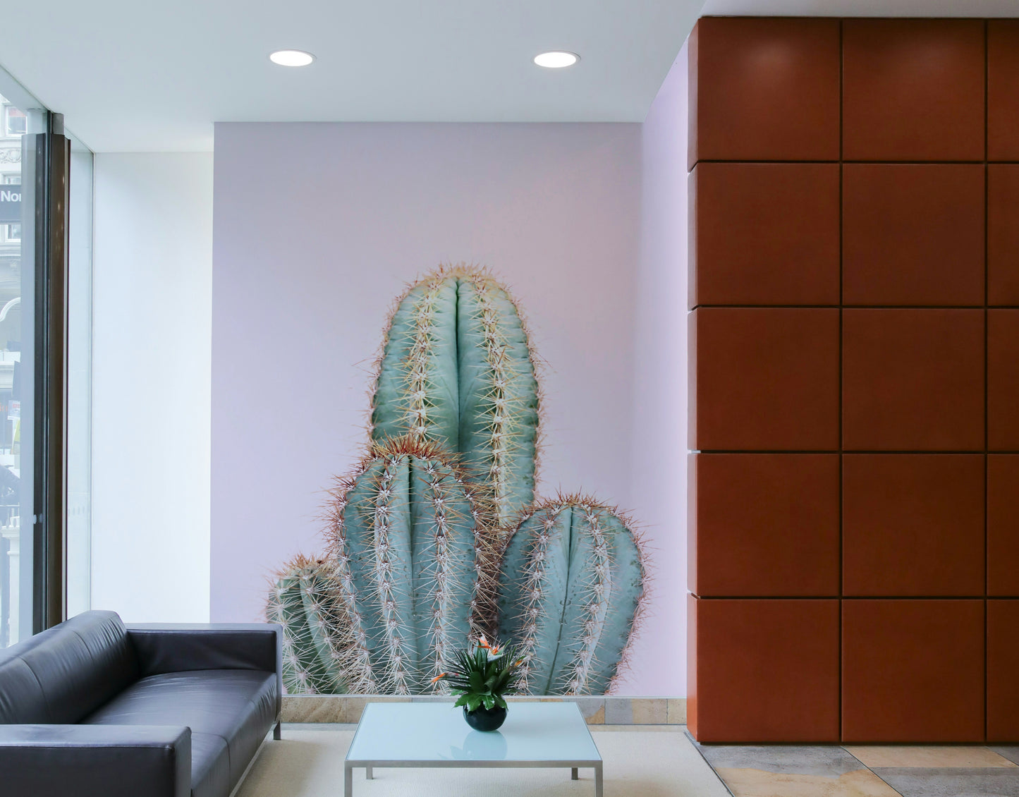 Botanical blush cactus mural for stylish interiors


