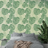 Monstera Moments: A chic green wallpaper choice.

