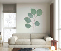 Fresh eucalyptus wall mural for modern homes

