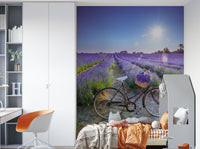 Cycle in lavender field mural for home decor

