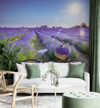 Cycle in a serene lavender field mural wallpaper

