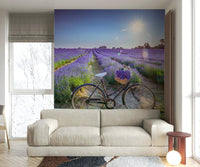 Beautiful cycle wallpaper with lavender scenery

