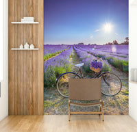 Vintage bicycle against lavender field wall mural

