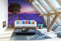 Peaceful golden hour lavender field mural for any room.

