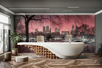 Central Park with pink dusk backdrop mural for rooms.

