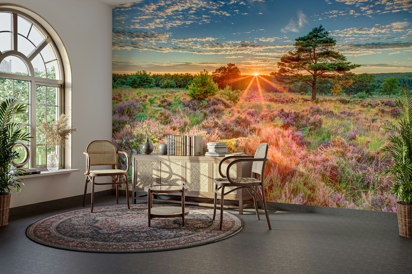 Heathland sunset mural with warm golden skies

