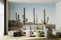 Stunning Cactus Land Wall Mural with desert vibes.

