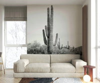 Cactus wall art in black and white for modern spaces.

