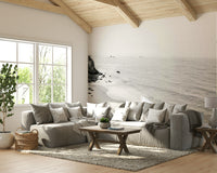 Scenic California beach in monochrome, BW wall mural.

