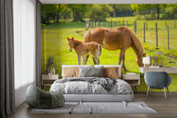 Mare and foal mural for peaceful interiors

