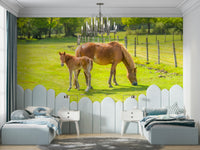 Nature mural showing horse bonding with foal

