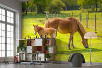Horse family mural for rustic spaces

