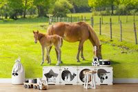Calm wall mural with horse and young foal


