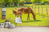 Animal-themed wallpaper with horse and baby

