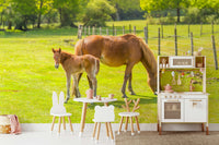 Horse mural with baby foal in grassy field

