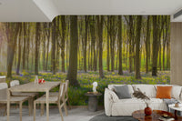 Spring forest mural with bluebell carpet

