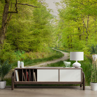 Sunlit forest path wallpaper design

