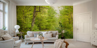 Peaceful woodland scene wall mural

