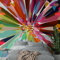 Prismatic Burst design wallpaper for kids’ and play rooms

