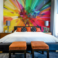 Vibrant multicolor Chromatic Burst mural for feature walls


