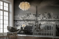 Stunning Parisian skyline mural from Montparnasse Tower

