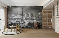 View from Montparnasse Tower mural for modern home decor

