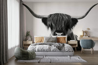 Monochrome animal mural with Highland horns and hair

