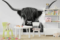 Black and white Highland cattle wall mural for modern spaces

