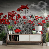 Wide view of poppy flowers and sky mural

