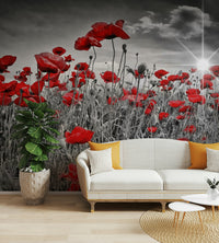Wallpaper for walls with blooming poppy flowers

