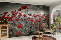 Landscape mural wallpaper of blooming poppies

