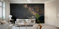 Peaceful nighttime valley scene with galaxy mural

