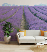 Soft purple hues in a serene lavender landscape

