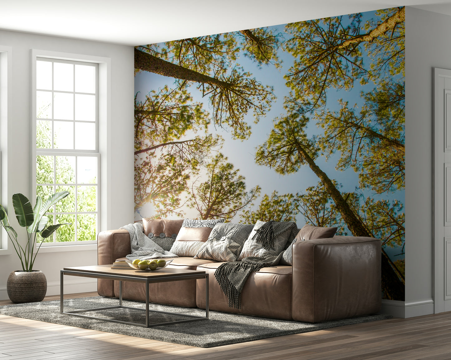 Skyward Trees Wallpaper for Walls: Nature's Beauty Wall Mural
