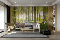 Morning light in forest wall mural
