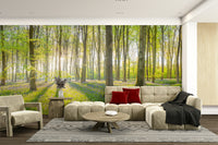 Sunlight through trees wall design

