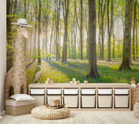 Bright and airy forest wallpaper
