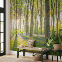 Peaceful forest landscape mural
