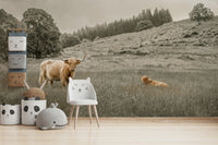 Shaggy cow in countryside scene
