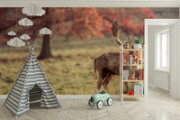 Wall mural featuring a beautiful stag with detailed antlers

