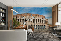 Colosseum mural wallpaper design
