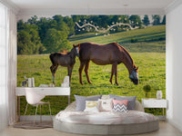 Equine duo mural wallpaper in warm tones
