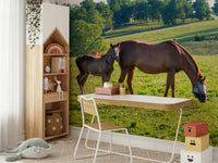 Living room with pastoral equine wall mural

