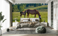 Neutral-toned horse wallpaper for calm walls
