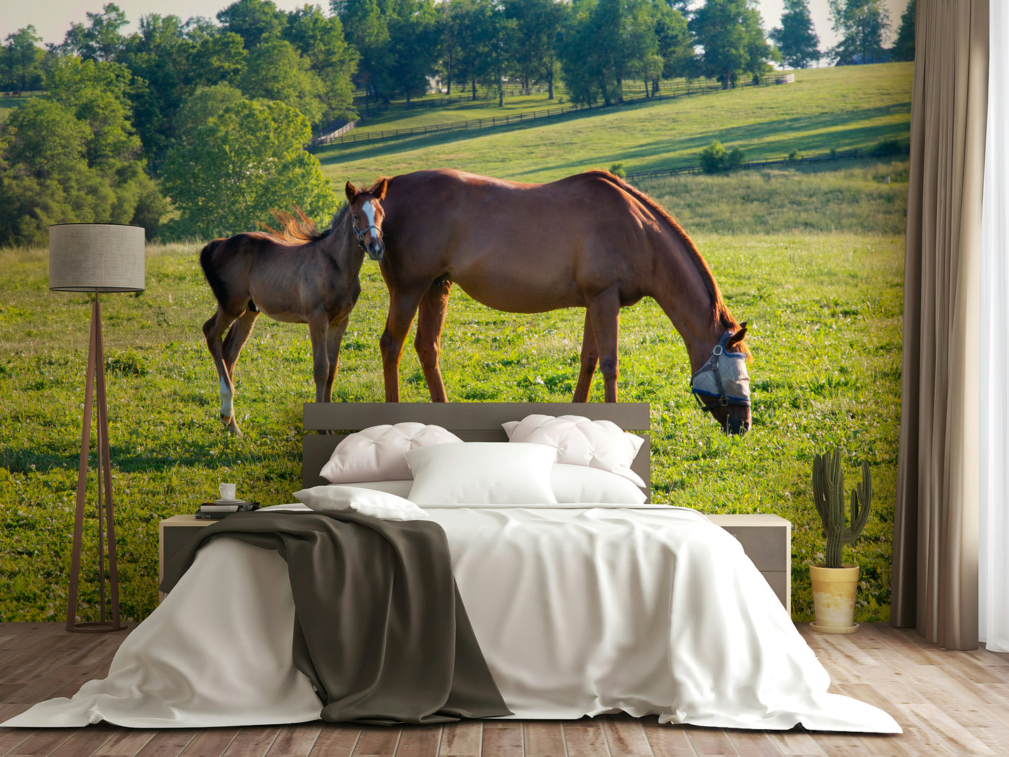 Pastoral horse duo wall mural scene

